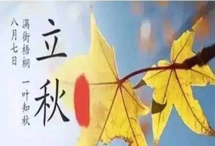 除尘器